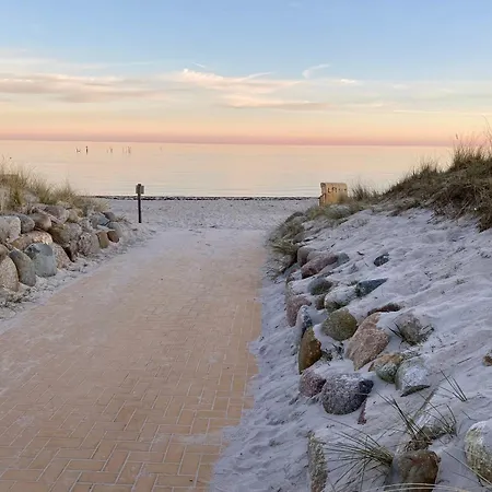 Suedstrandlaeufer 9234 - Fehmarn * Burgtiefe auf Fehmarn